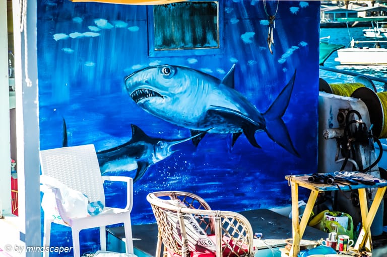 Shark Painting on Fisherboat - Mediterranean Spirit