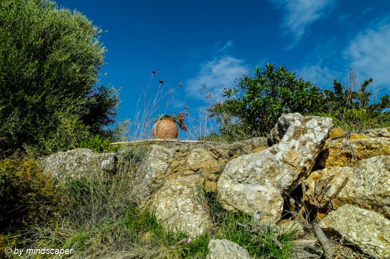 Plant Amphore in the Outback - Hidden Greece