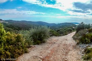 Solid Unpaved Track - Map Symbol