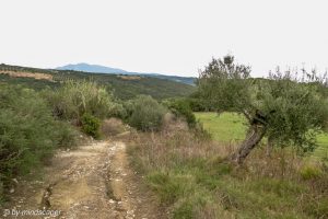 Unpaved Track - Map Symbol
